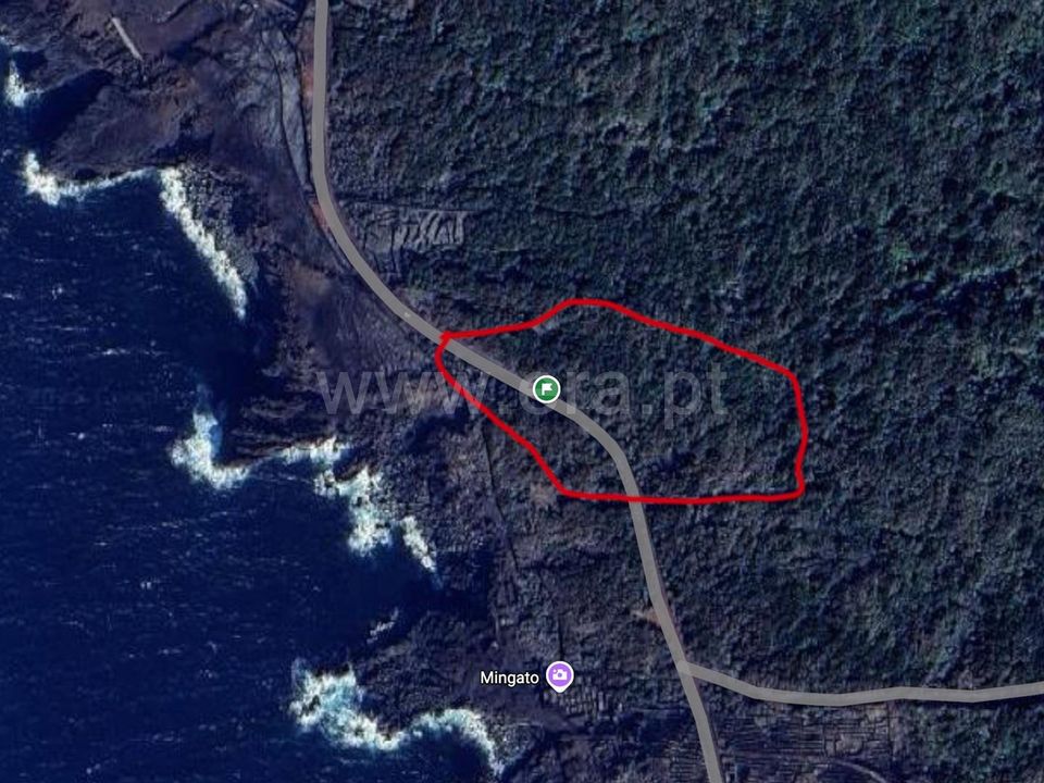 Helårsgrund i Madalena, Pico - foto 5