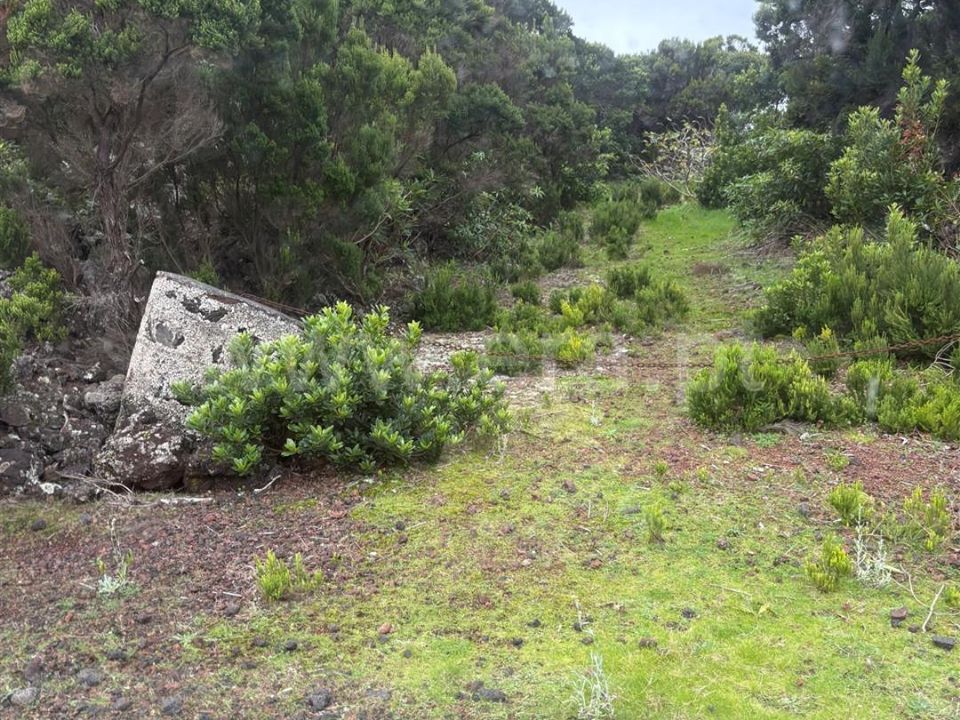 Helårsgrund i Madalena, Pico - foto 2