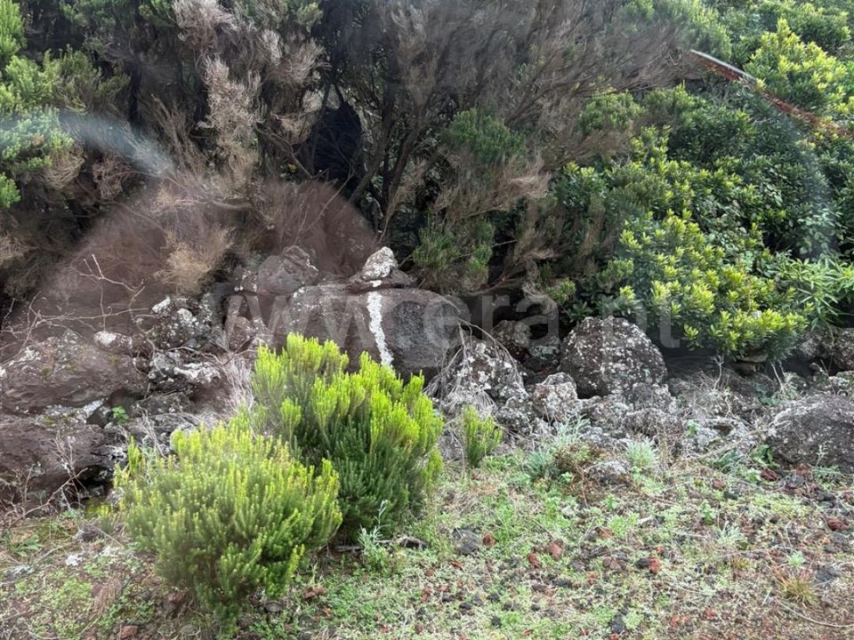 Helårsgrund i Madalena, Pico - foto 3