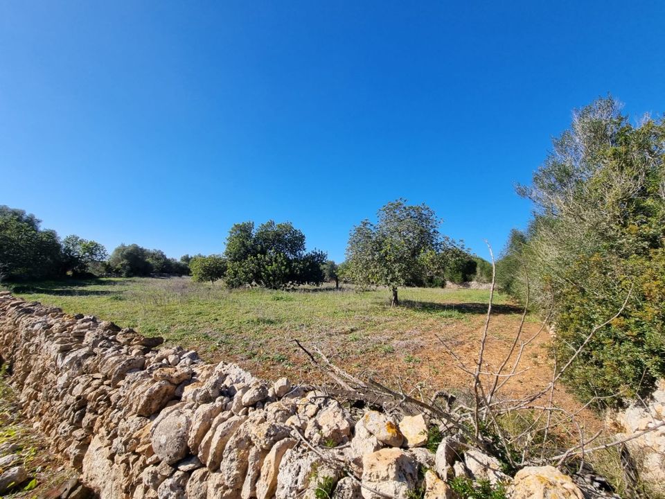 Helårsgrund i Felanitx, Mallorca - foto 5