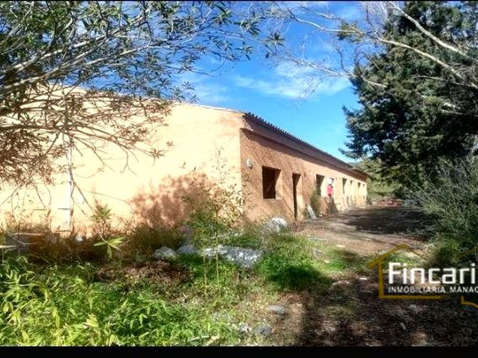 Landejendom i Sa Pobla, Mallorca - foto 2