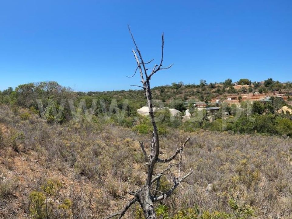 Terra a Loule, Faro - foto 2