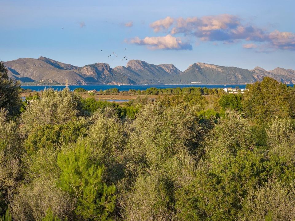 Helårsgrund i Alcudia, Mallorca - foto 3