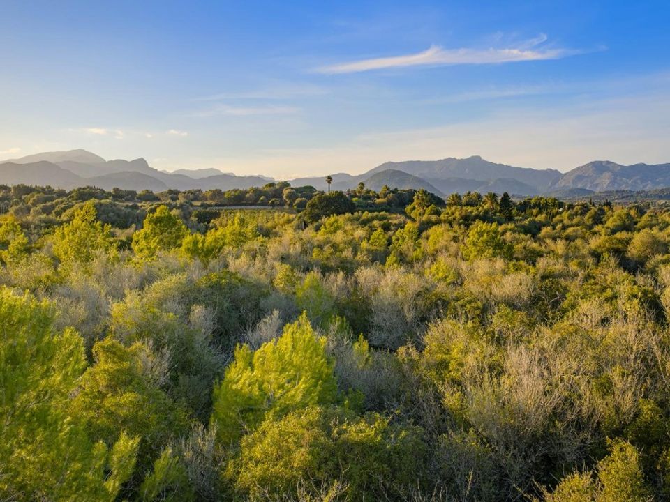 Helårsgrund i Alcudia, Mallorca - foto 5