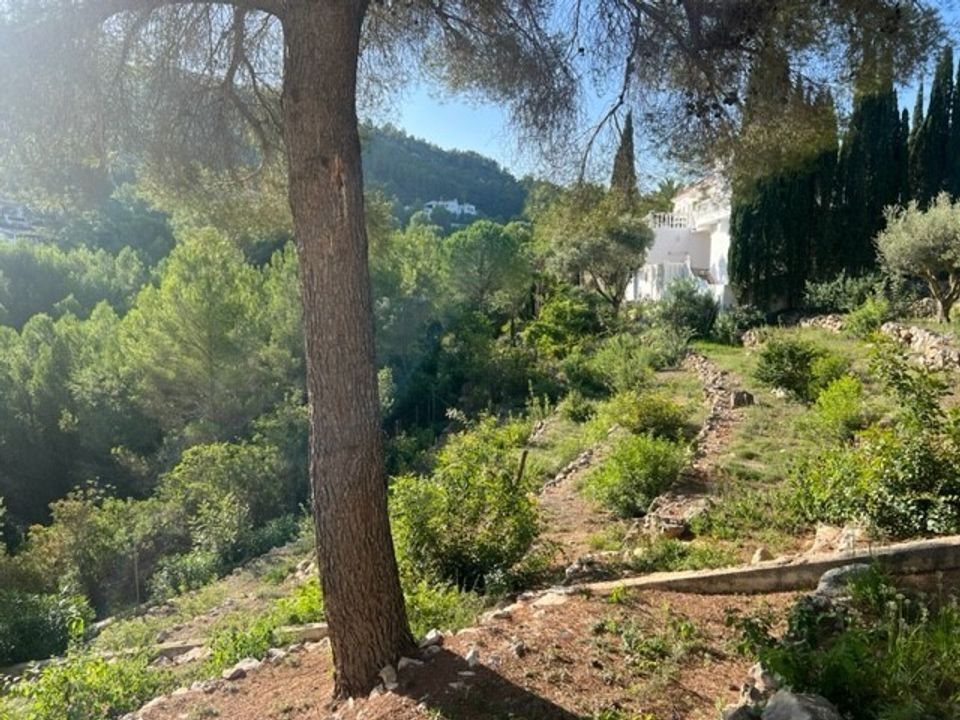 Terra a Denia, Alicante - foto 3