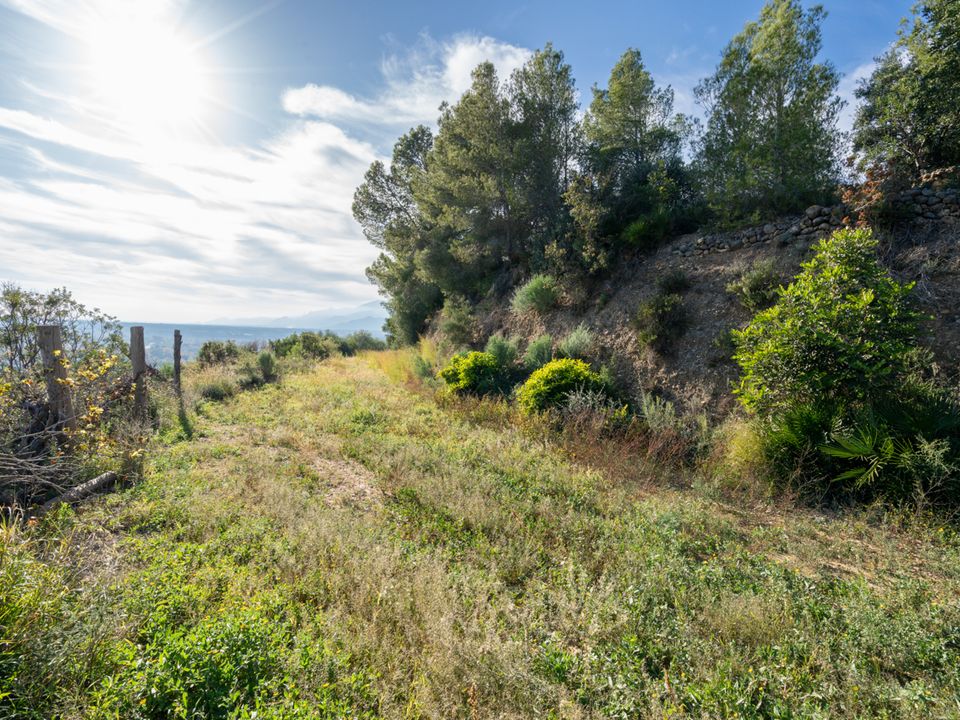 Finca i Tivenys, Tarragona - foto 5