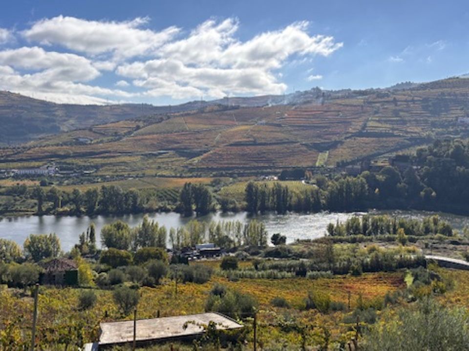Helårsgrund i Peso da Regua, Vila Real - foto 2