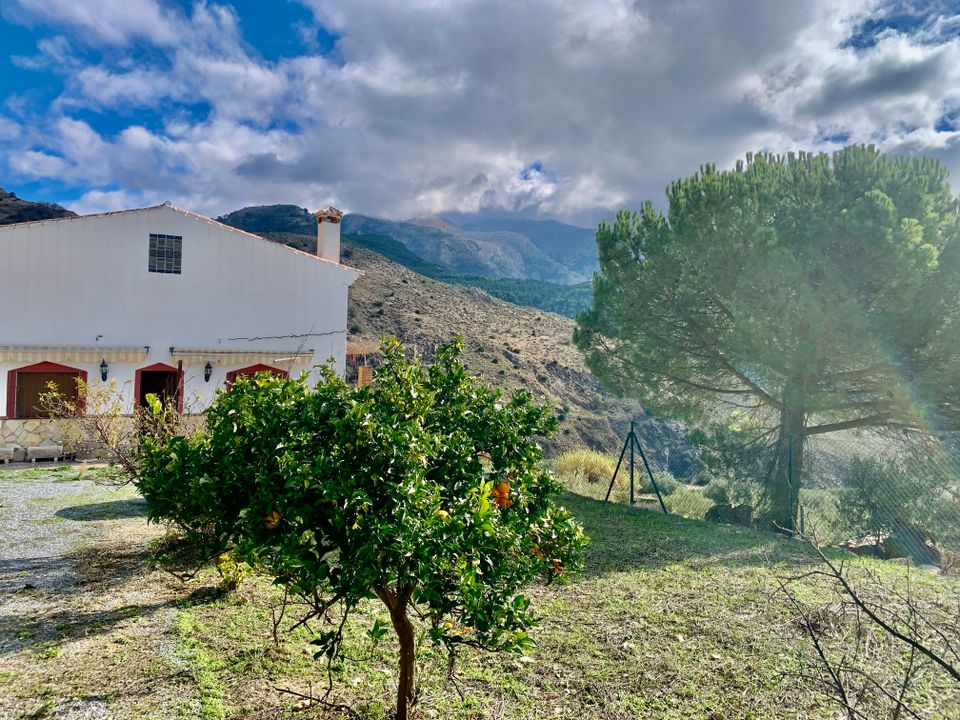 Villa i Alcaucin, Malaga - foto 5