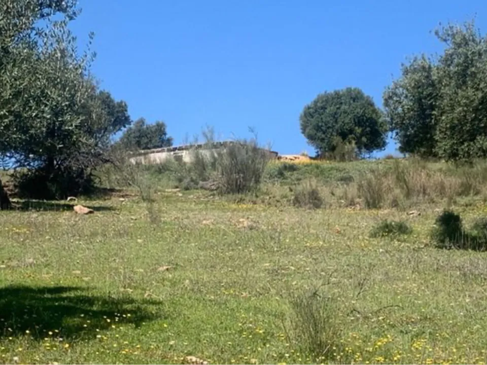 Finca i Venta Baja, Malaga - foto 4