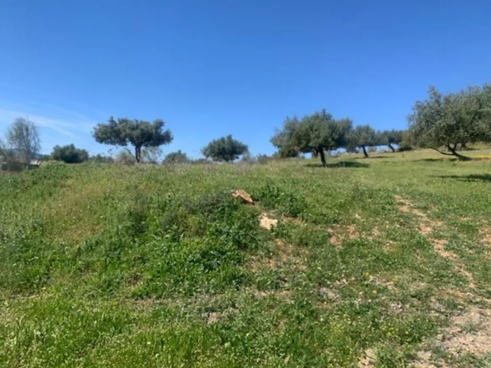 Finca i Venta Baja, Malaga - foto 2