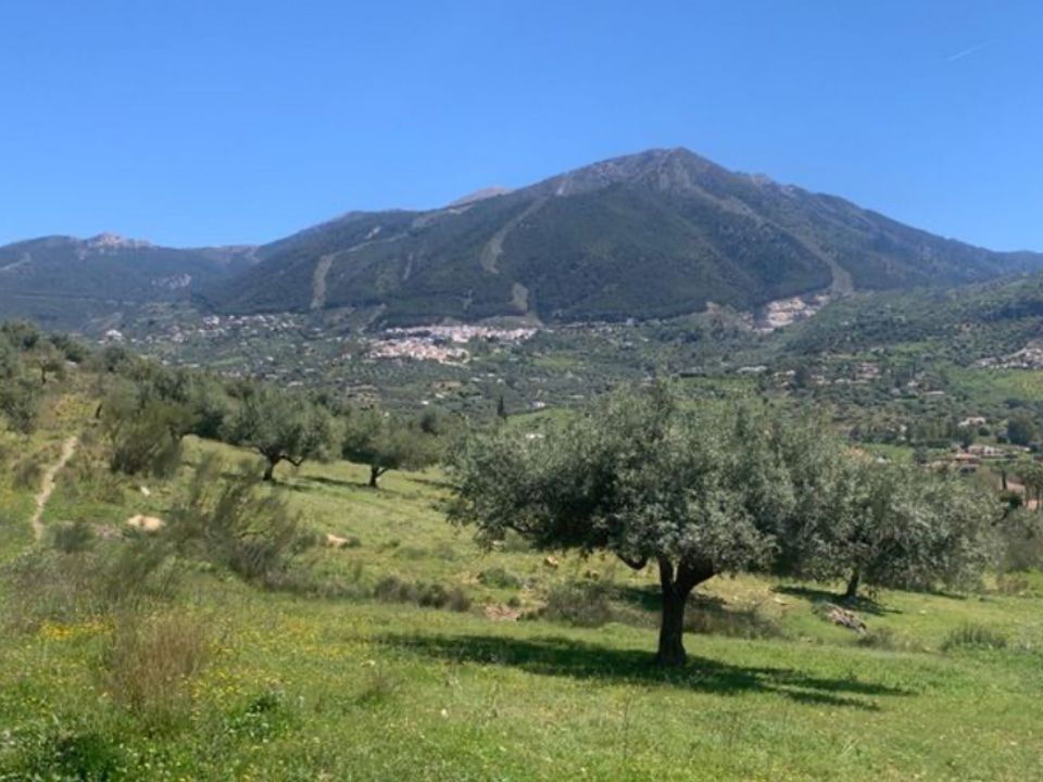 Finca i Venta Baja, Malaga - foto 1