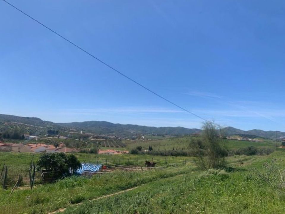 Finca i Venta Baja, Malaga - foto 5