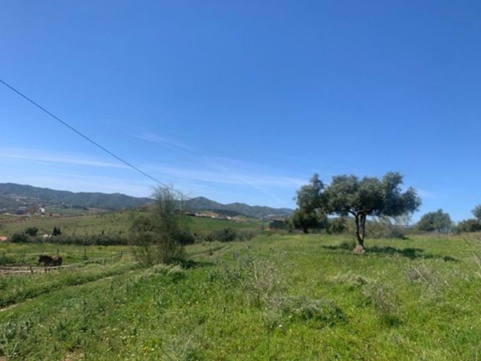 Finca i Venta Baja, Malaga - foto 3