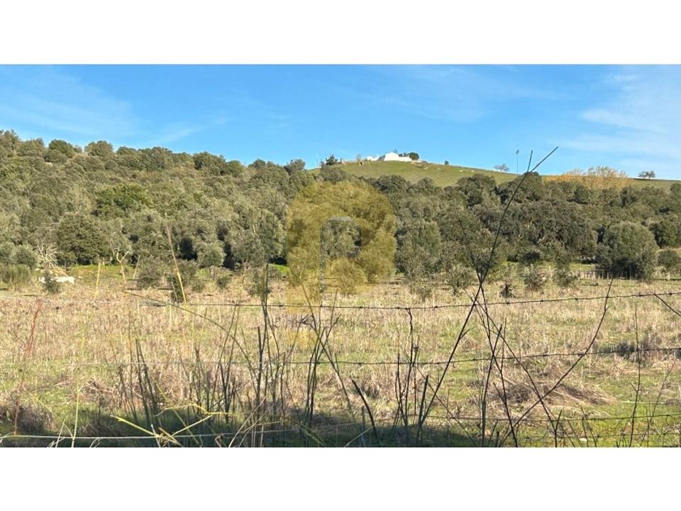 Landejendom i Arraiolos, Evora - foto 5