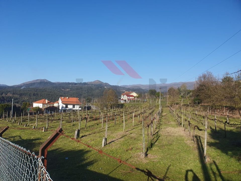 Helårsgrund i Azere, Viana do Castelo - foto 3