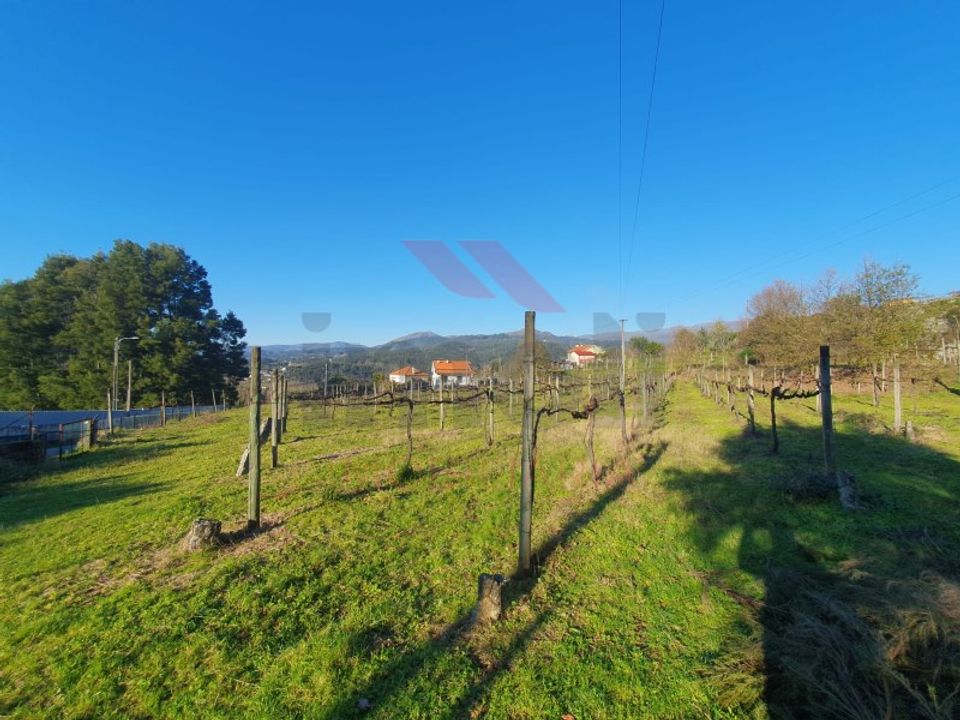 Helårsgrund i Azere, Viana do Castelo - foto 1