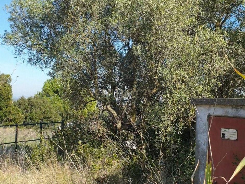 Helårsgrund i Alenquer, Lisbon - foto 4