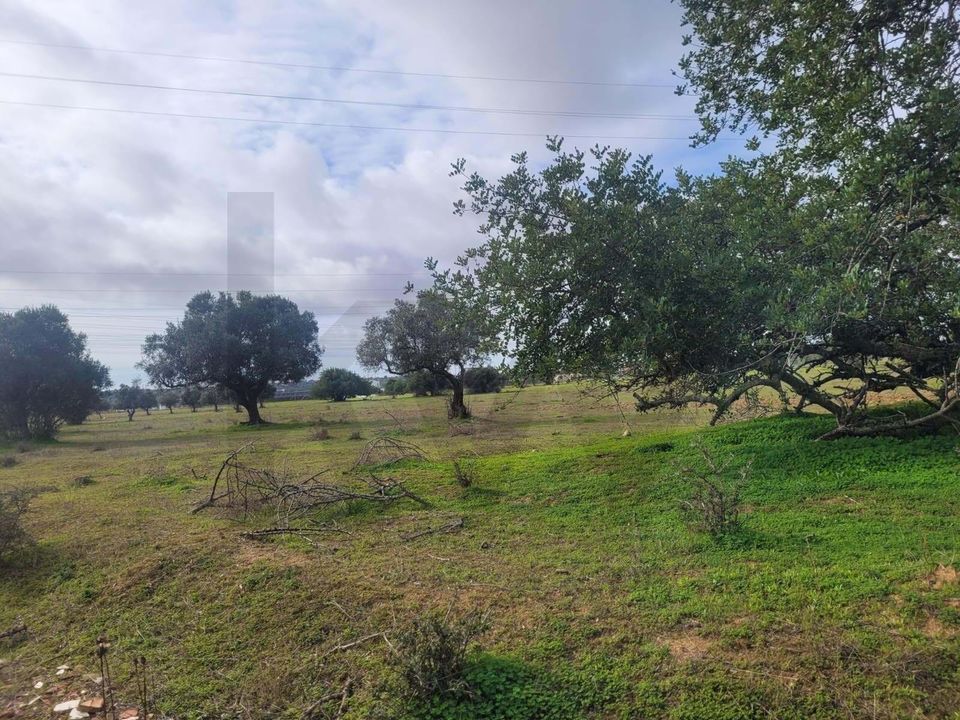 Helårsgrund i Algoz, Faro - foto 2