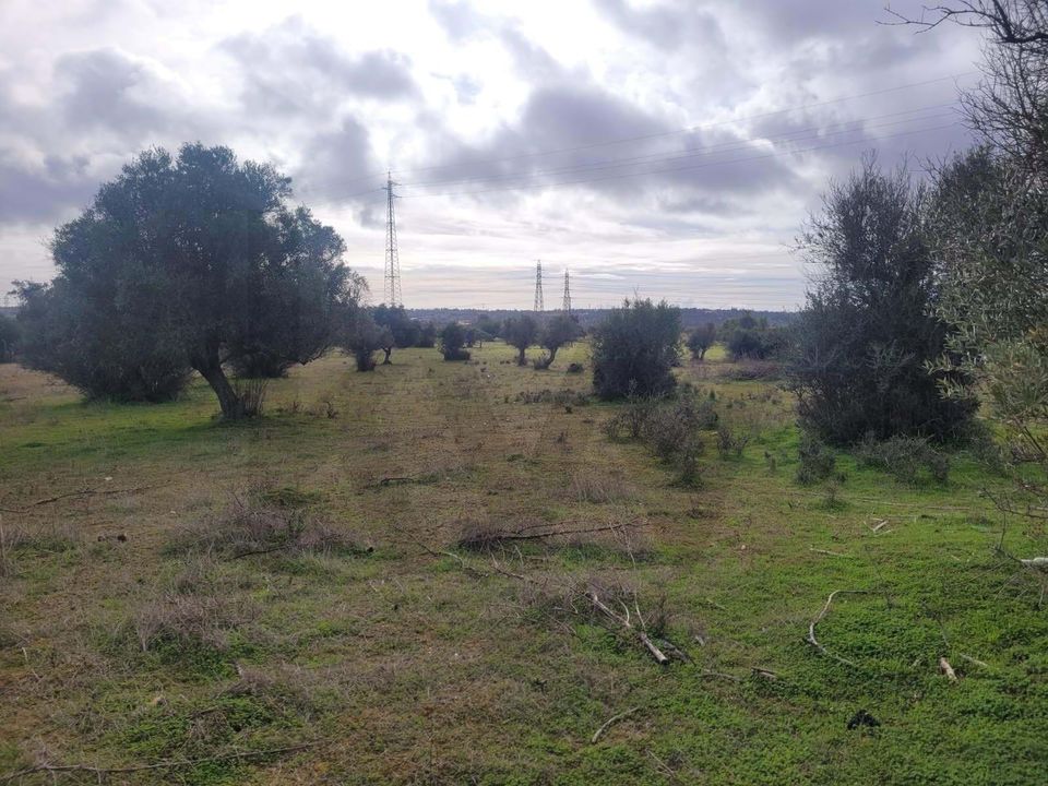 Helårsgrund i Algoz, Faro - foto 4