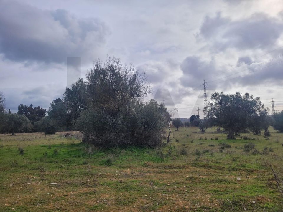 Helårsgrund i Algoz, Faro - foto 5