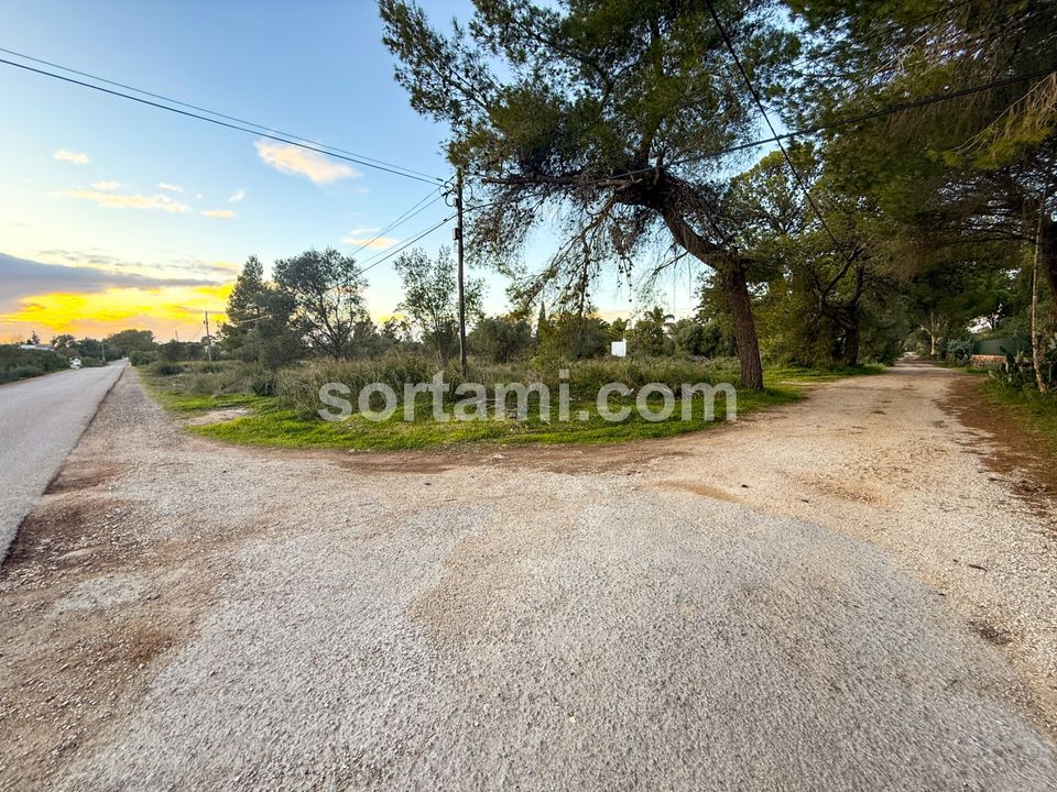 Helårsgrund i Silves, Faro - foto 2