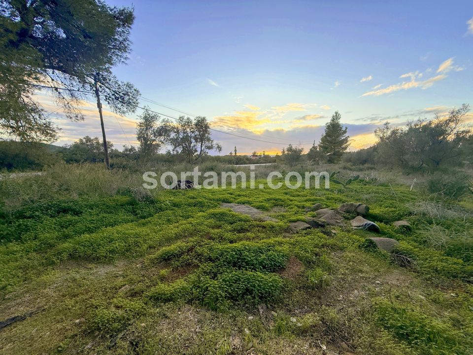 Helårsgrund i Silves, Faro - foto 4