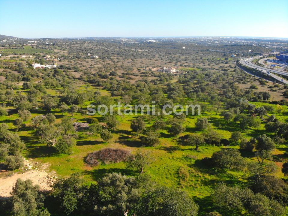 Helårsgrund i Faro, Faro - foto 3