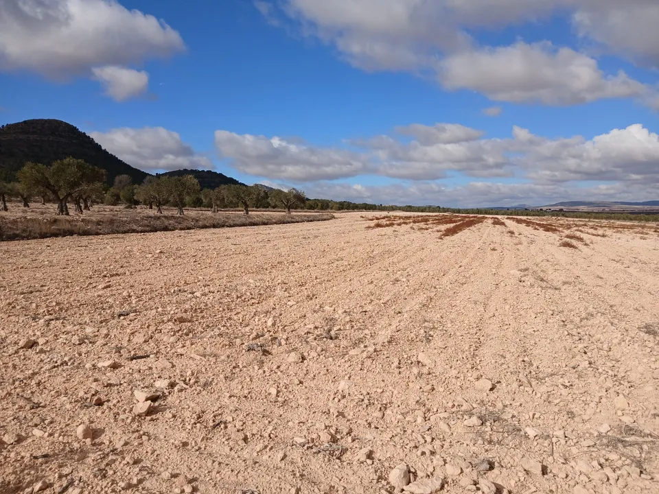 Helårsgrund i Yecla, Murcia - foto 1