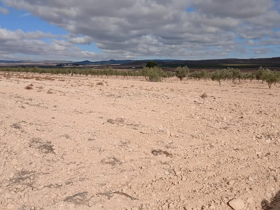 Helårsgrund i Yecla, Murcia - foto 3