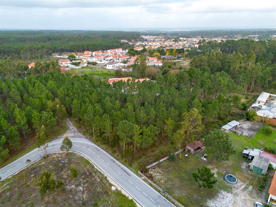 Helårsgrund i Marinha Grande, Leiria - foto 2