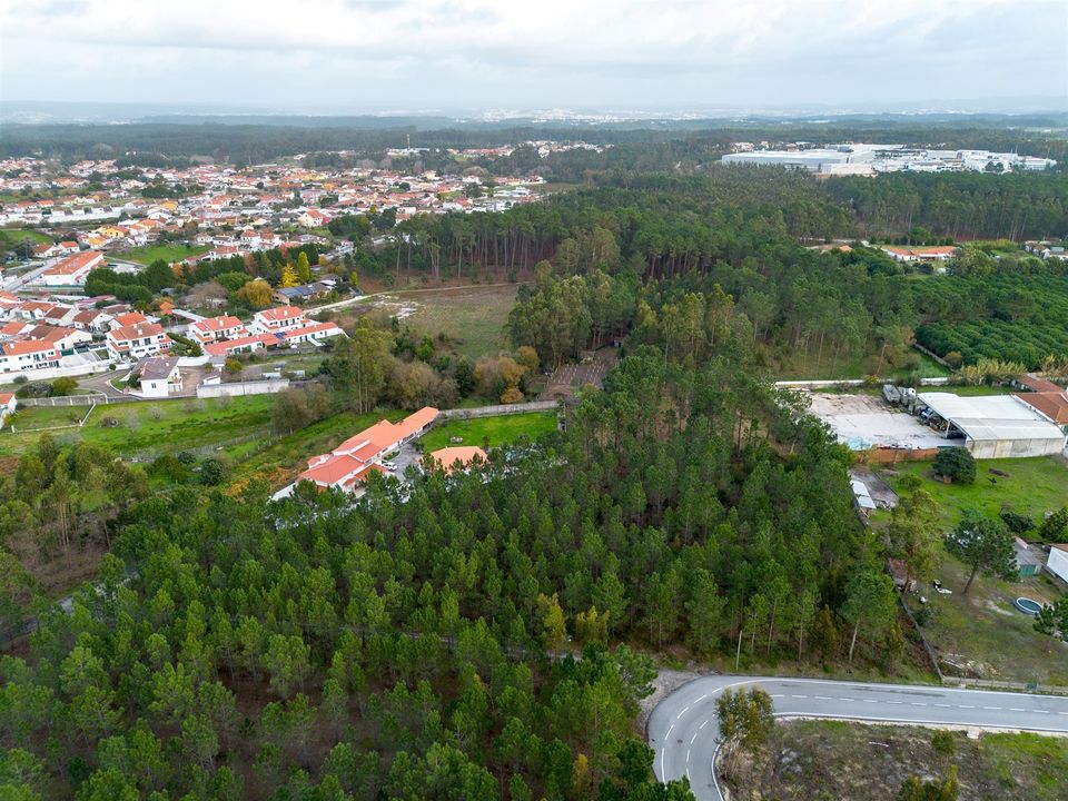 Helårsgrund i Marinha Grande, Leiria - foto 4