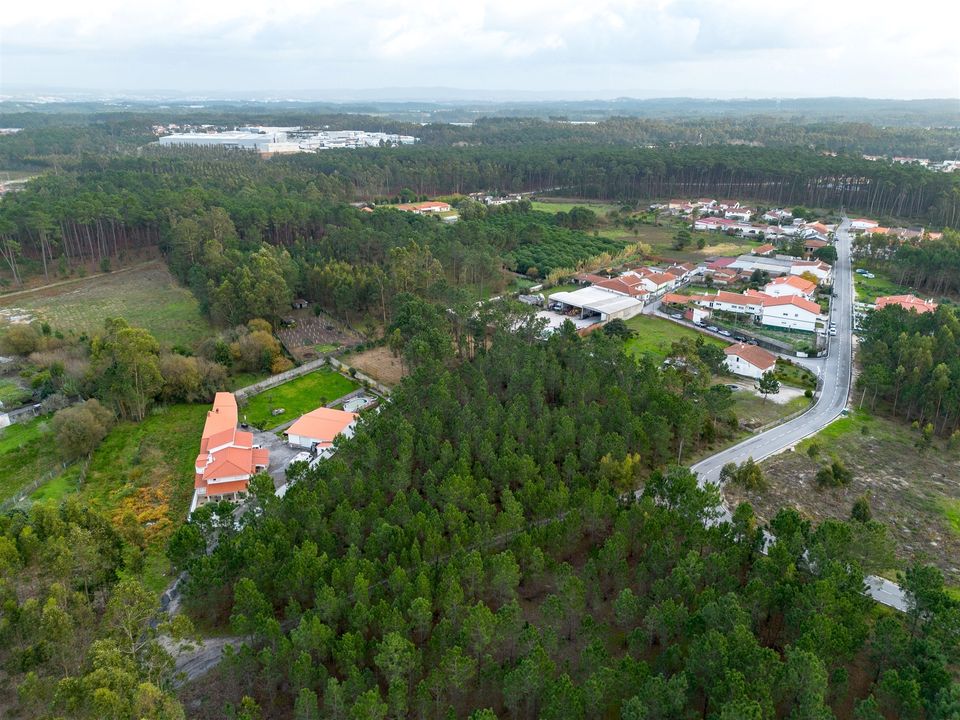 Helårsgrund i Marinha Grande, Leiria - foto 5