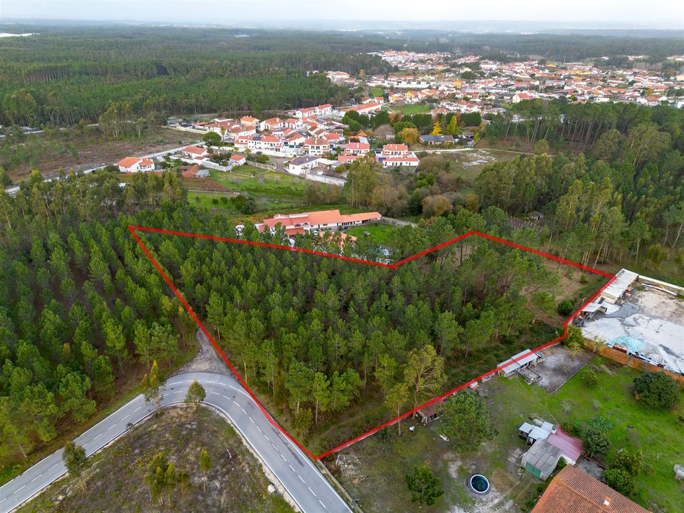 Helårsgrund i Marinha Grande, Leiria - foto 3