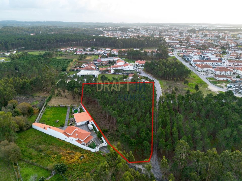 Helårsgrund i Marinha Grande, Leiria - foto 1