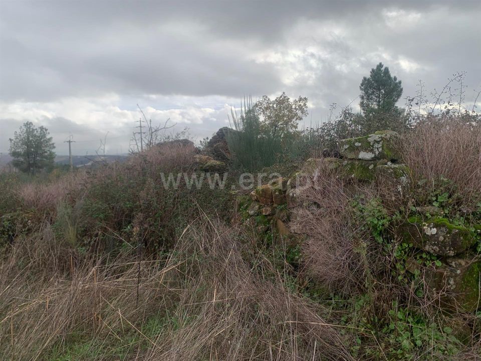 Landejendom i Fundao, Castelo Branco - foto 2
