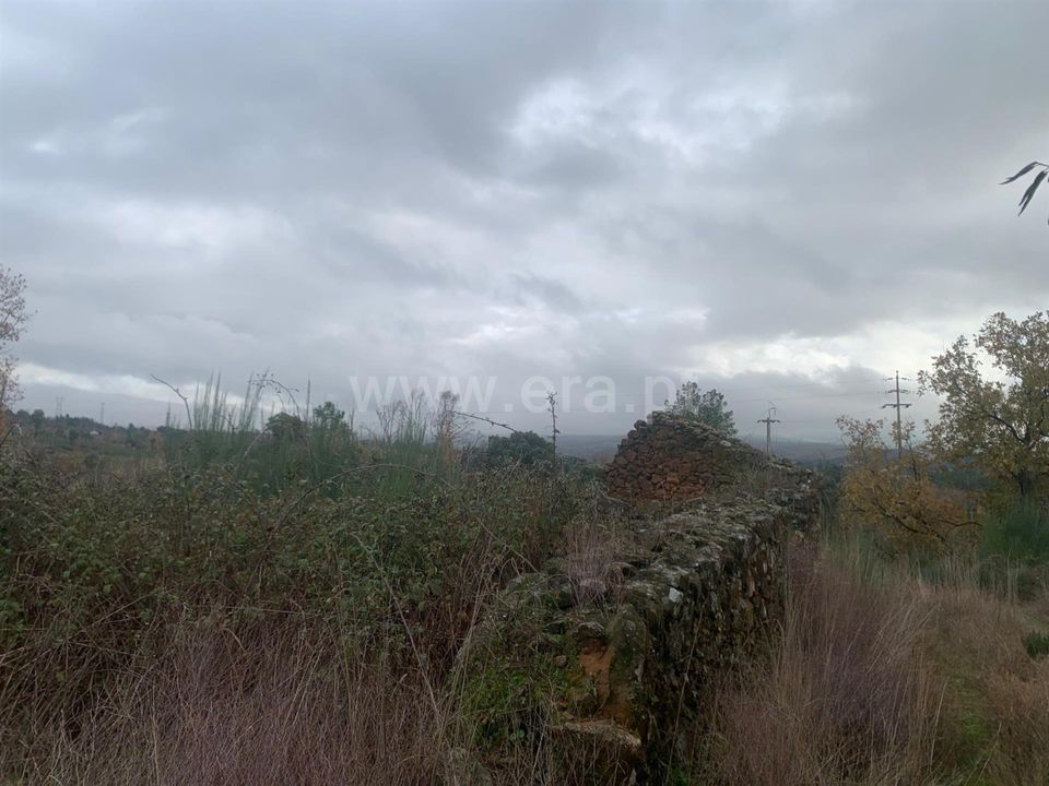 Landejendom i Fundao, Castelo Branco - foto 1