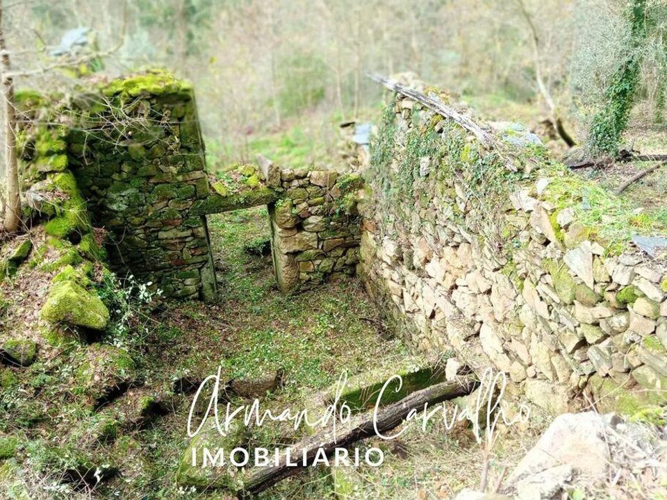 Helårsgrund i Cinfaes, Viseu - foto 4