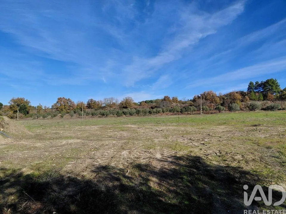 Farm i Belmonte, Castelo Branco - foto 1