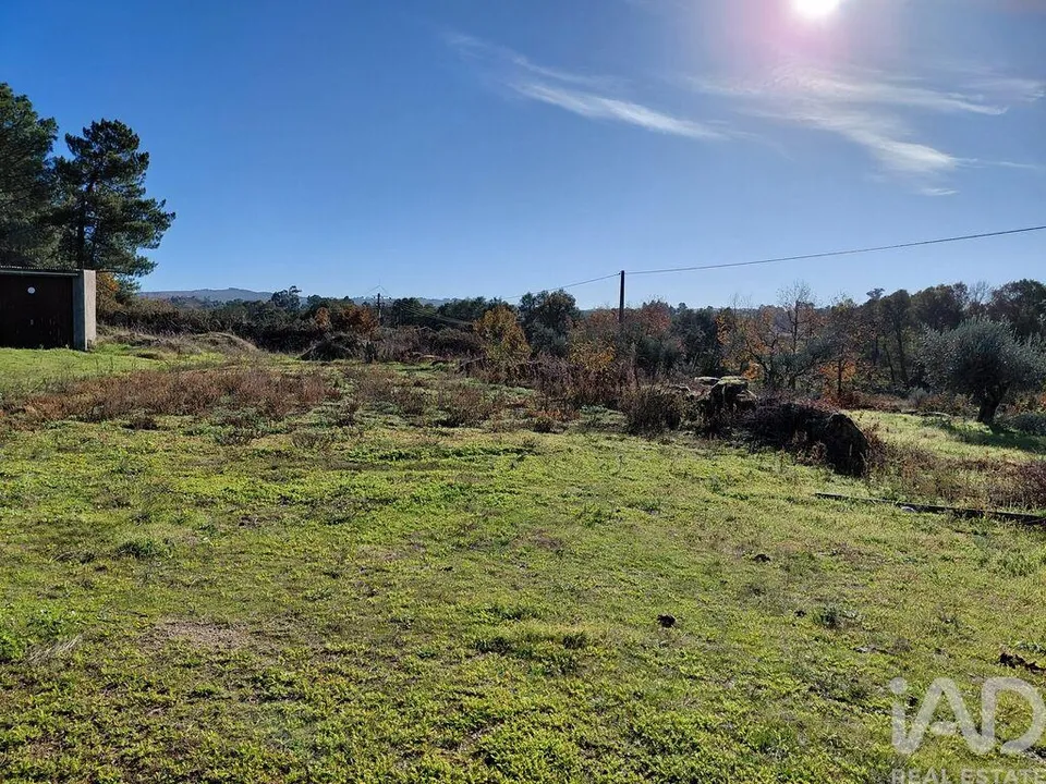 Farm i Belmonte, Castelo Branco - foto 2