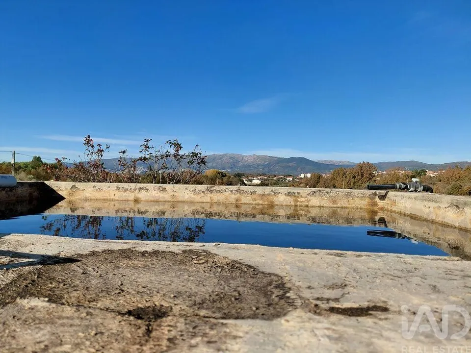 Farm i Belmonte, Castelo Branco - foto 3