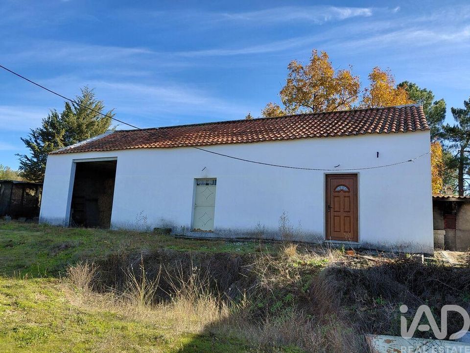 Farm i Belmonte, Castelo Branco - foto 4