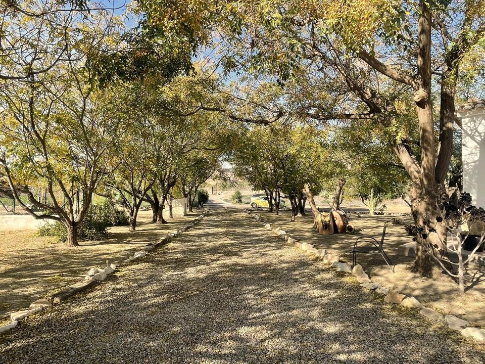 Villa i La Muleria, Almeria - foto 4