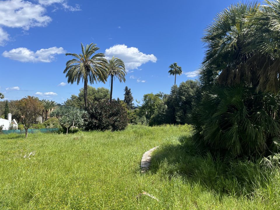 Helårsgrund i Sotogrande, Cadiz - foto 4