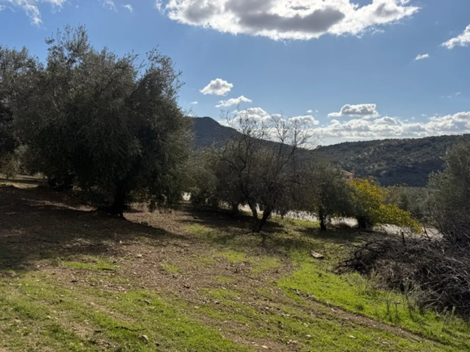 Landejendom i Alfarnatejo, Malaga - foto 3