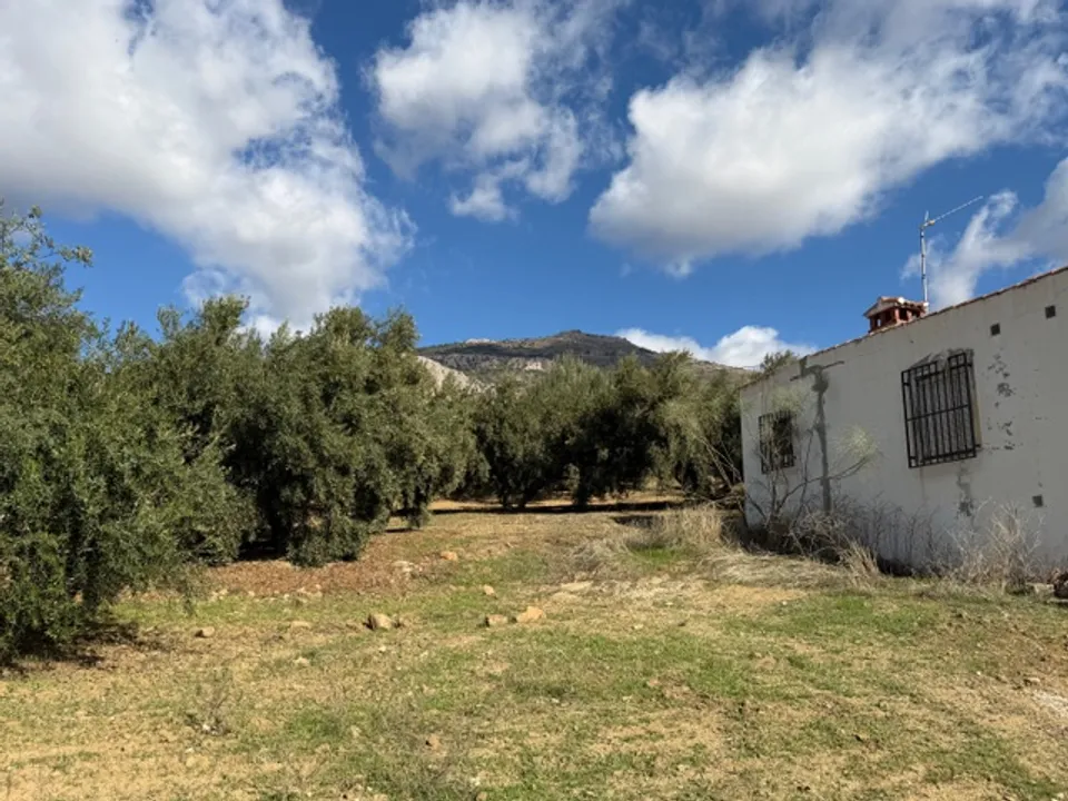 Landejendom i Alfarnatejo, Malaga - foto 4