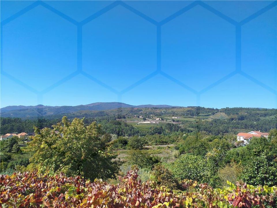 Villa i Melgaco, Viana do Castelo - foto 1