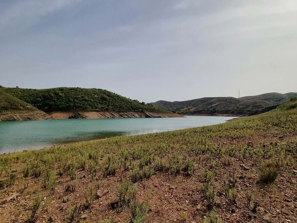 Helårsgrund i Silves, Faro - foto 5