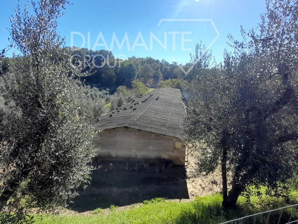 Ferme - Arezzo, Arezzo - photo 3