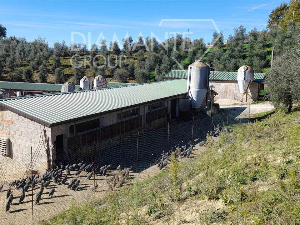 Ferme - Arezzo, Arezzo - photo 4