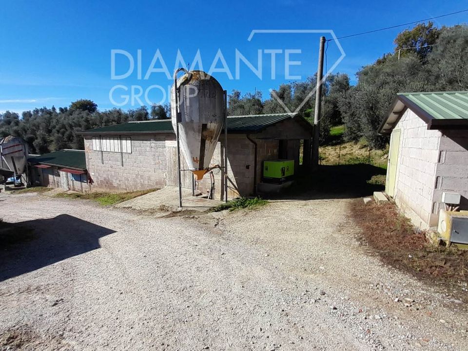 Ferme - Arezzo, Arezzo - photo 5